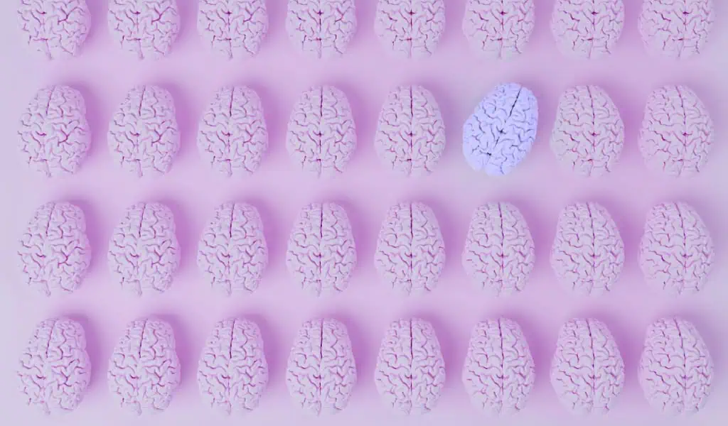 Neurotypes Neurotypical vs. Neurodivergent Brain: What You Need to Know