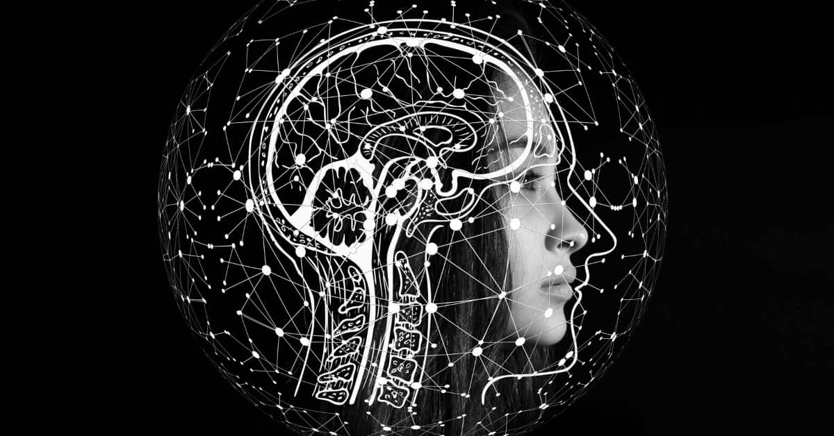 Neurodivergent Spectrum